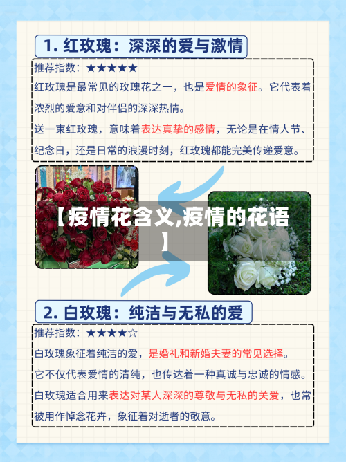 【疫情花含义,疫情的花语】-第3张图片