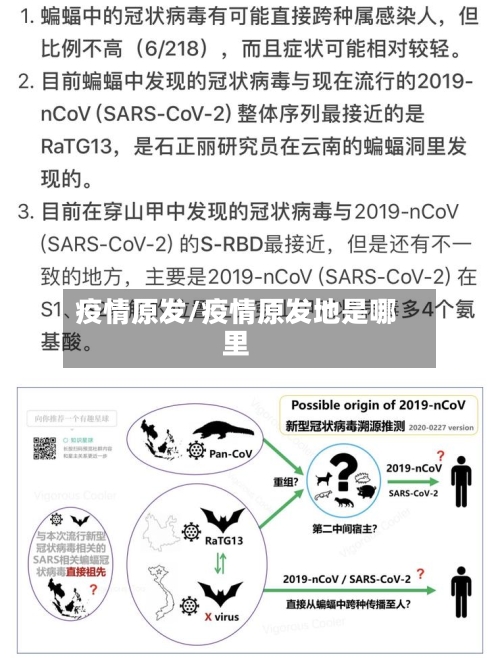 疫情原发/疫情原发地是哪里