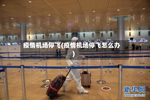 疫情机场停飞(疫情机场停飞怎么办)-第2张图片