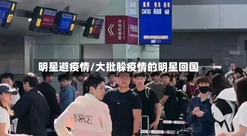 明星避疫情/大批躲疫情的明星回国