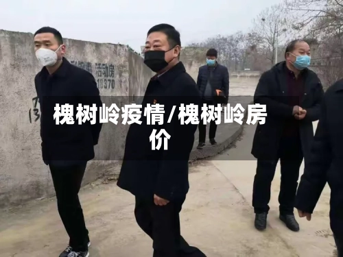 槐树岭疫情/槐树岭房价