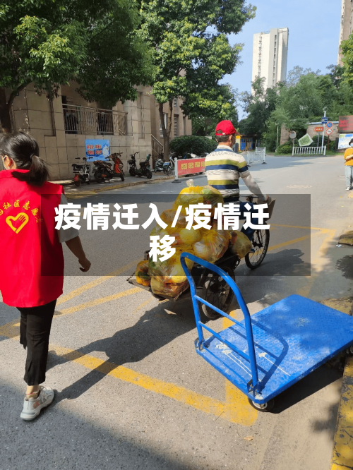 疫情迁入/疫情迁移