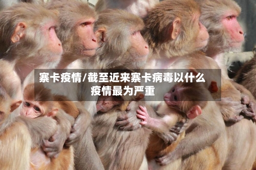 寨卡疫情/截至近来寨卡病毒以什么疫情最为严重-第2张图片