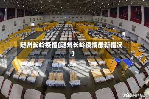 随州长岭疫情(随州长岭疫情最新情况)-第2张图片