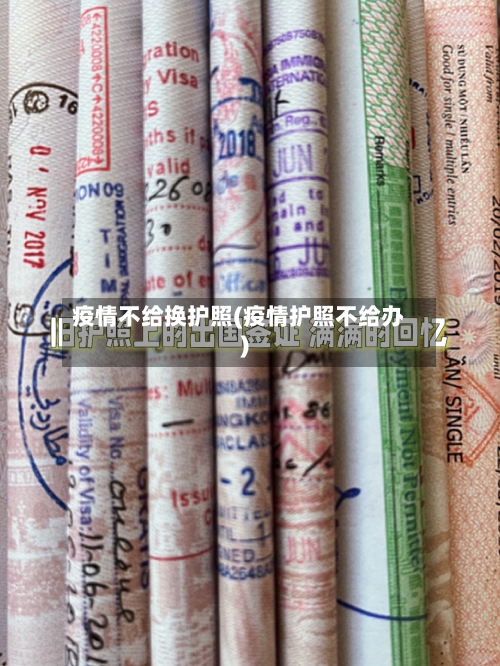 疫情不给换护照(疫情护照不给办)
