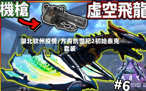 湖北钦州疫情/方舟创世纪2初始泰克套装
