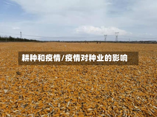 耕种和疫情/疫情对种业的影响