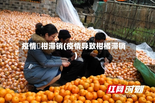 疫情椪柑滞销(疫情导致柑橘滞销)-第2张图片