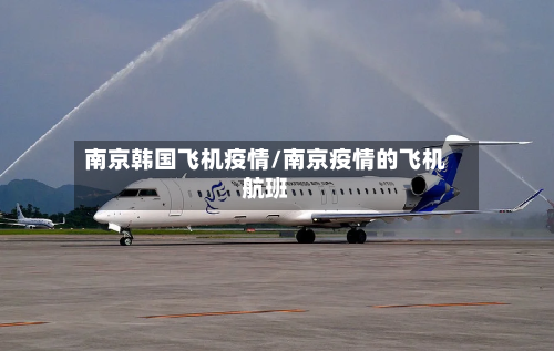 南京韩国飞机疫情/南京疫情的飞机航班-第2张图片