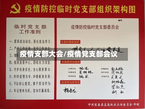 疫情支部大会/疫情党支部会议-第3张图片