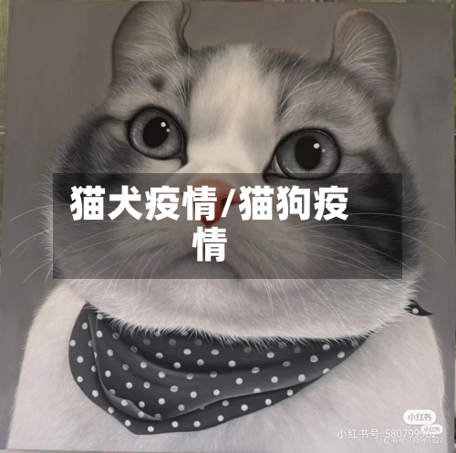 猫犬疫情/猫狗疫情