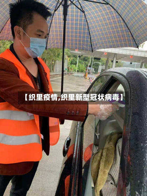 【织里疫情,织里新型冠状病毒】-第2张图片