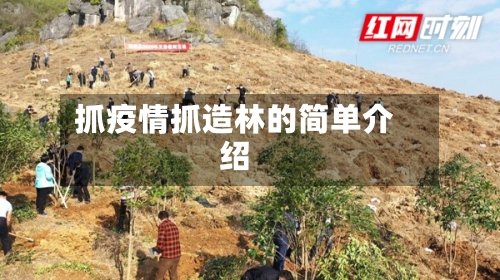 抓疫情抓造林的简单介绍