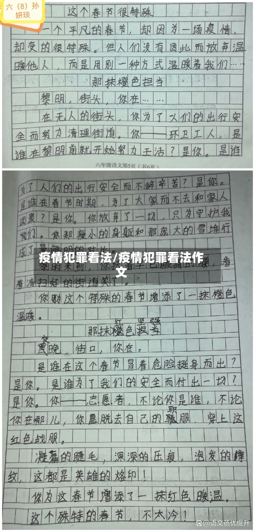 疫情犯罪看法/疫情犯罪看法作文