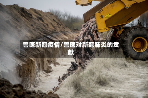 兽医新冠疫情/兽医对新冠肺炎的贡献