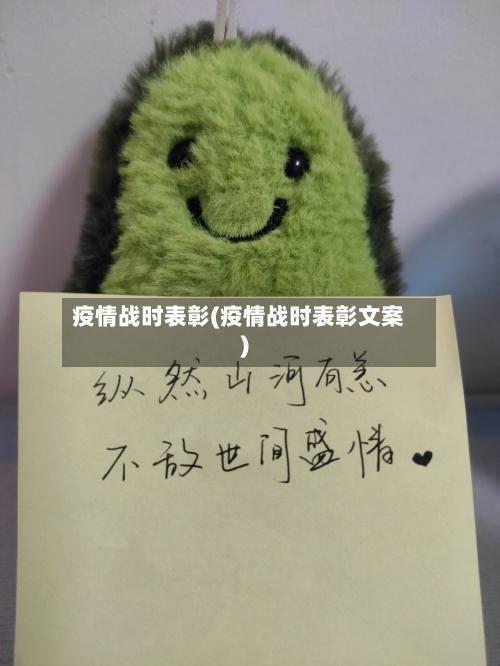 疫情战时表彰(疫情战时表彰文案)-第3张图片