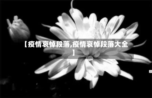 【疫情哀悼段落,疫情哀悼段落大全】