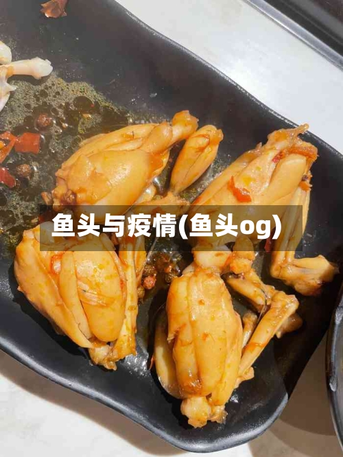 鱼头与疫情(鱼头og)