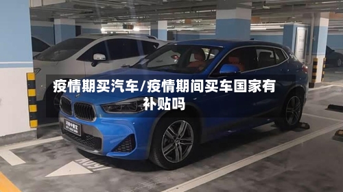 疫情期买汽车/疫情期间买车国家有补贴吗-第2张图片