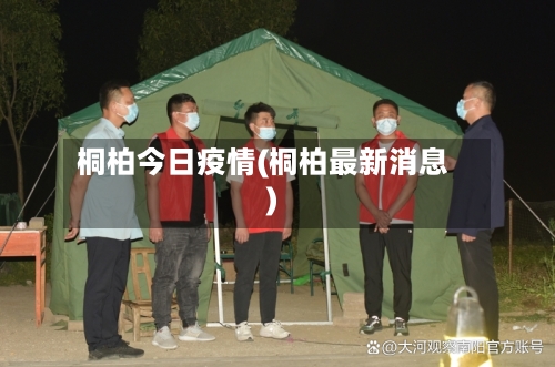 桐柏今日疫情(桐柏最新消息)-第2张图片