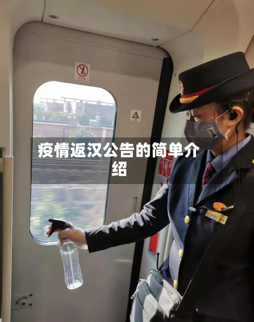 疫情返汉公告的简单介绍