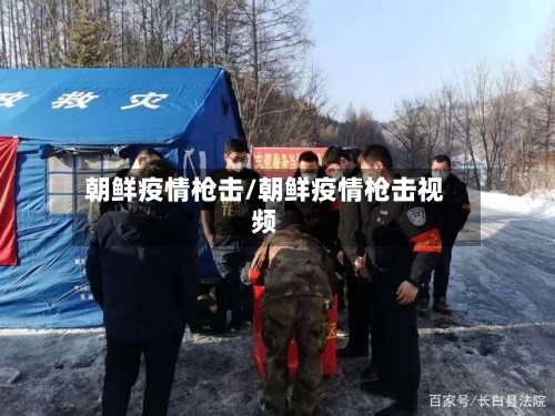 朝鲜疫情枪击/朝鲜疫情枪击视频-第2张图片