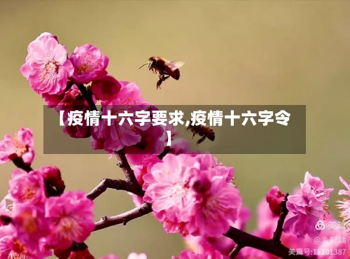 【疫情十六字要求,疫情十六字令】