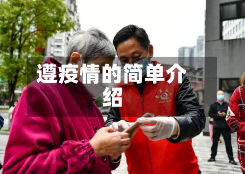 遵疫情的简单介绍