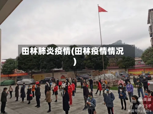 田林肺炎疫情(田林疫情情况)-第2张图片