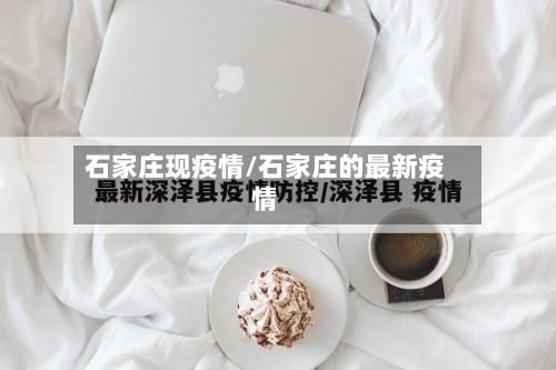 石家庄现疫情/石家庄的最新疫情-第2张图片