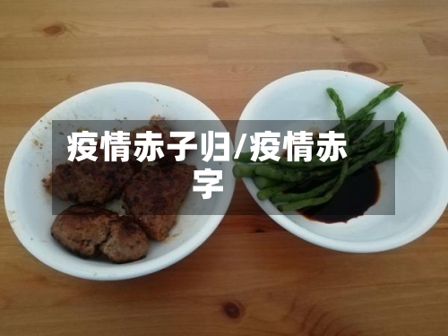 疫情赤子归/疫情赤字-第3张图片