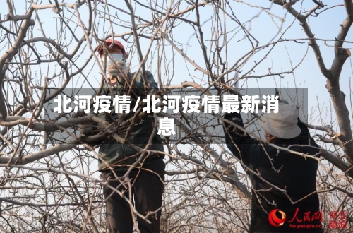 北河疫情/北河疫情最新消息-第2张图片