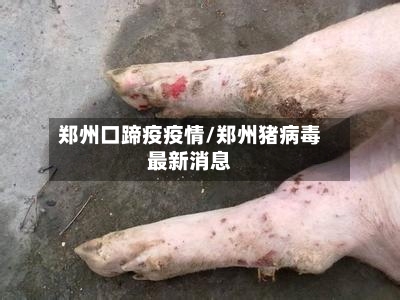 郑州口蹄疫疫情/郑州猪病毒最新消息