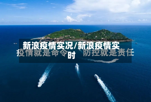 新浪疫情实况/新浪疫情实时