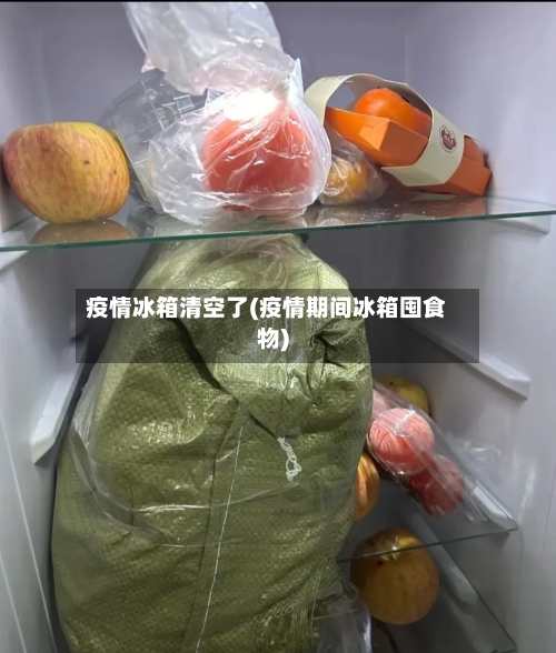 疫情冰箱清空了(疫情期间冰箱囤食物)-第3张图片