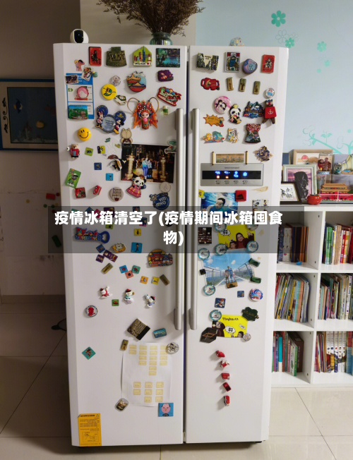 疫情冰箱清空了(疫情期间冰箱囤食物)-第2张图片