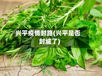 兴平疫情封路(兴平是否封城了)-第2张图片