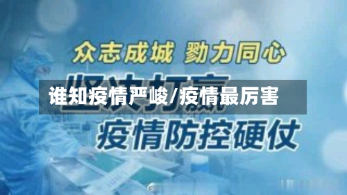 谁知疫情严峻/疫情最厉害-第2张图片