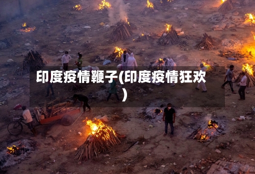 印度疫情鞭子(印度疫情狂欢)-第2张图片