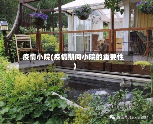 疫情小院(疫情期间小院的重要性)-第2张图片
