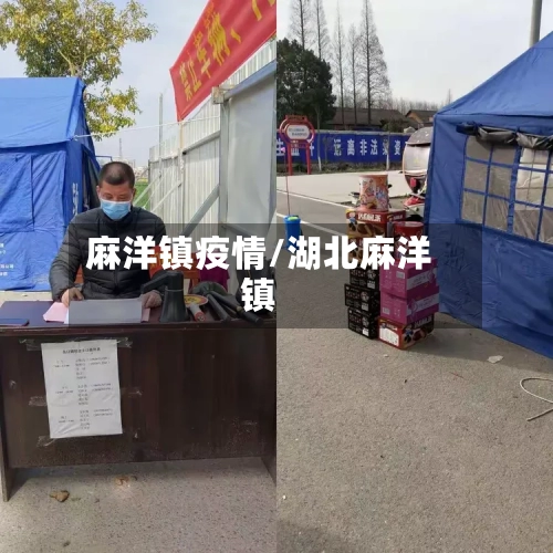 麻洋镇疫情/湖北麻洋镇-第2张图片