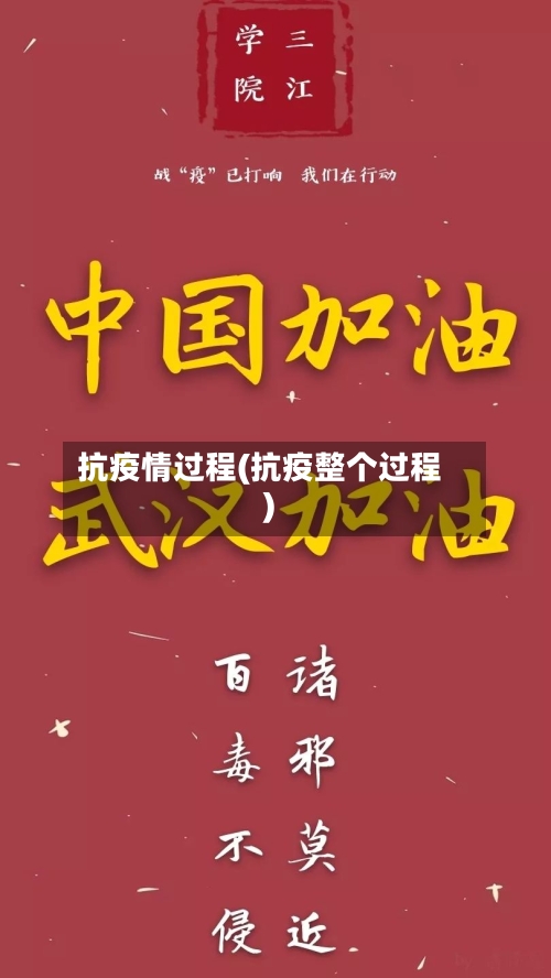 抗疫情过程(抗疫整个过程)