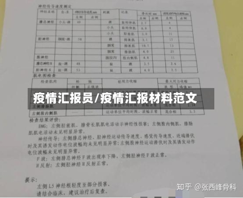 疫情汇报员/疫情汇报材料范文