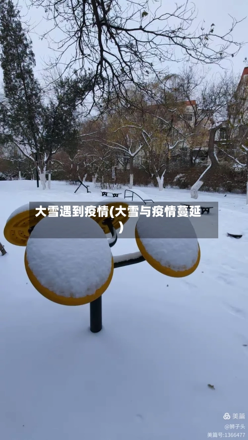 大雪遇到疫情(大雪与疫情蔓延)