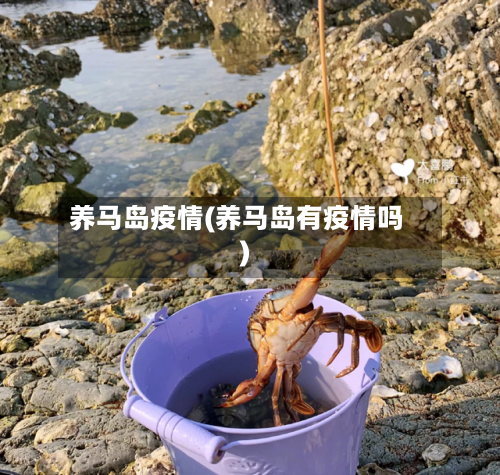养马岛疫情(养马岛有疫情吗)