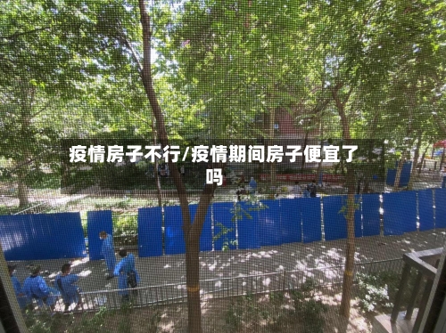 疫情房子不行/疫情期间房子便宜了吗-第2张图片