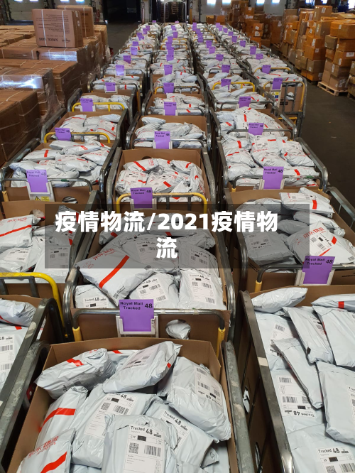 疫情物流/2021疫情物流