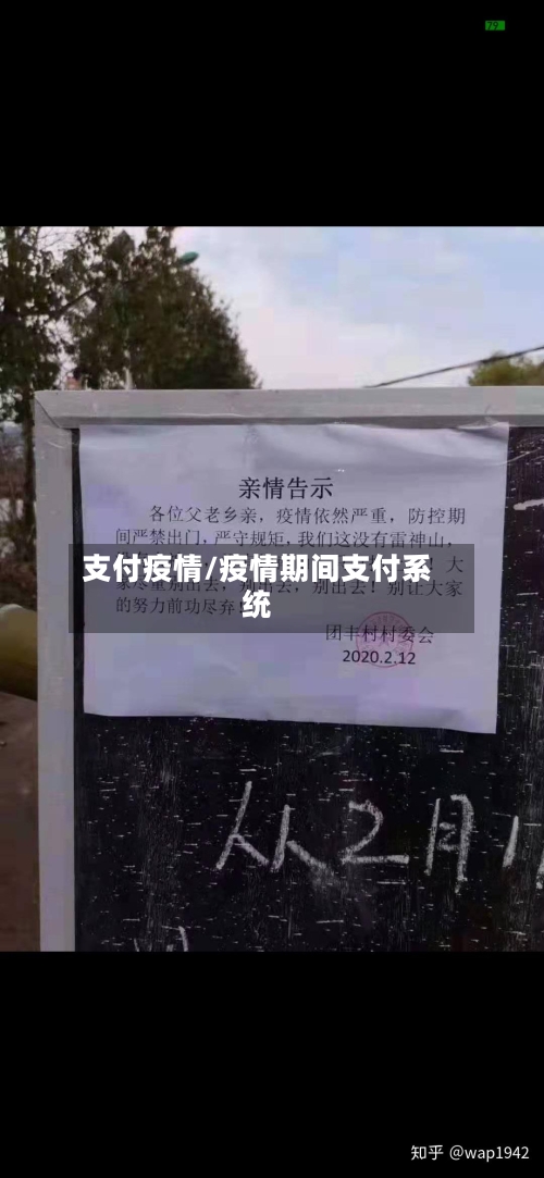 支付疫情/疫情期间支付系统