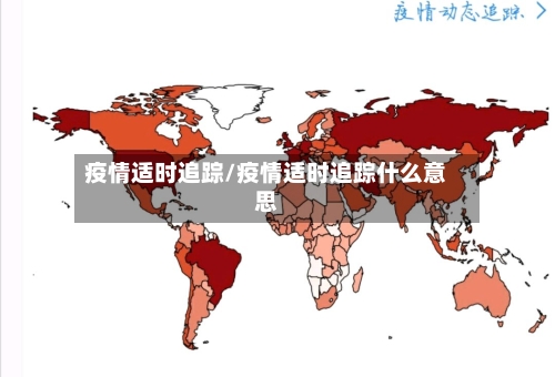 疫情适时追踪/疫情适时追踪什么意思